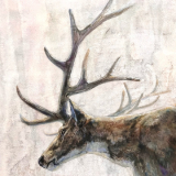 タカハシシオン